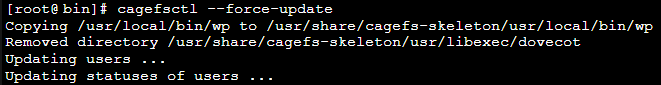 Install WP-CLI in cPanel with CageFS image 11 - Install WP-CLI in cPanel with CageFS