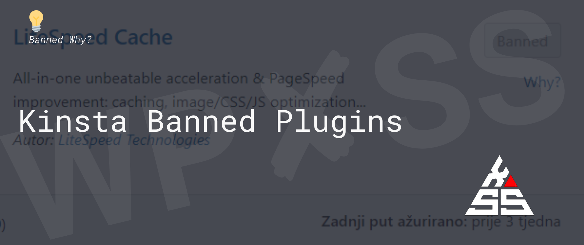 Banned Why Kinsta error message - Kinsta Banned Plugins