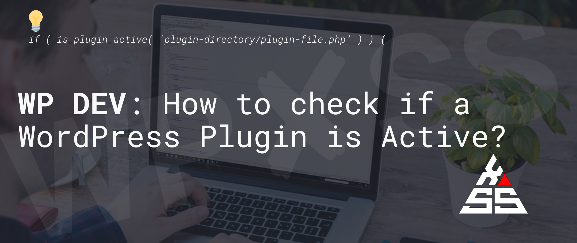 How to check if a WordPress Plugin is Active - WP DEV: How to check if a WordPress Plugin is Active?